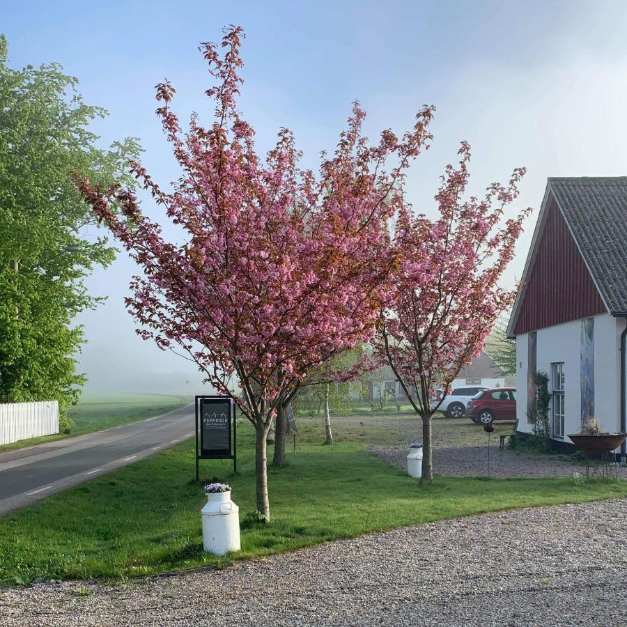 Peppinge Bed & Breakfast Loderup Bagian luar foto